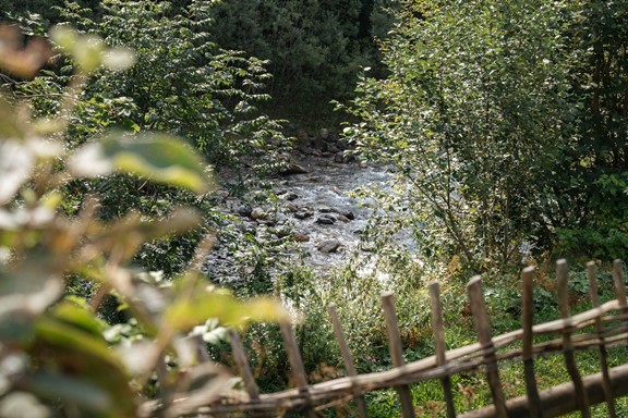 Ein kleiner Bach fließt durch die grüne Landschaft des Brandnertals. Bäume, Sträucher und ein traditioneller Holzzaun umgeben den idyllischen Bachlauf.